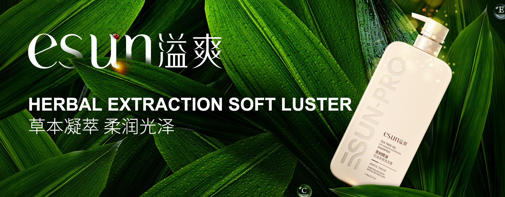 招賢納士
